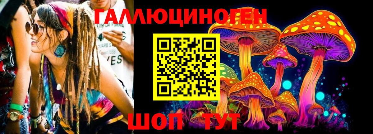Псилоцибиновые грибы прущие грибы Чистополь
