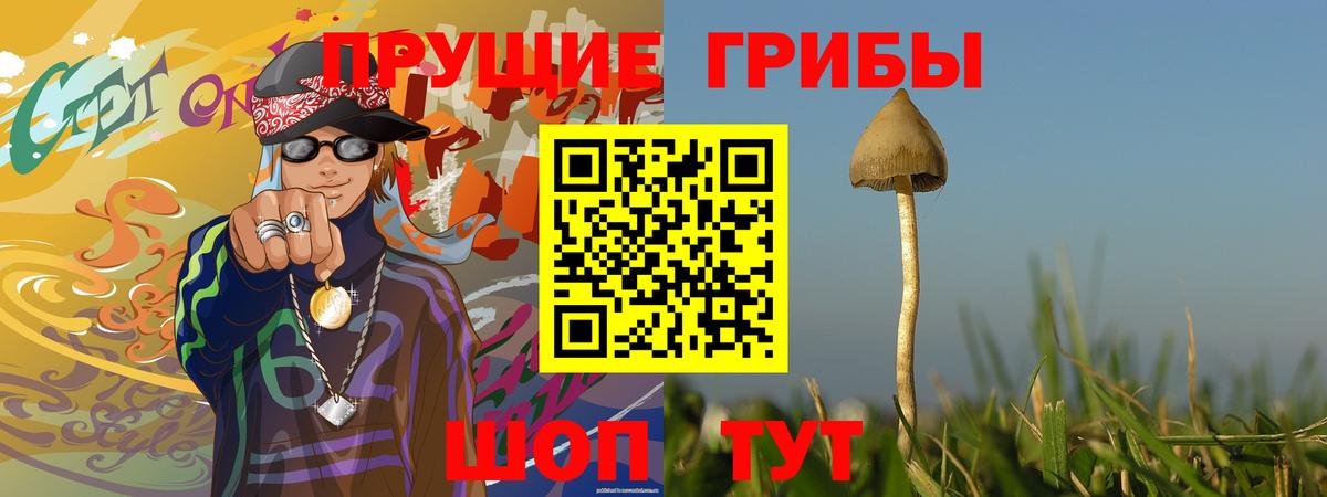 Галлюциногенные грибы Magic Shrooms  Псилоцибиновые грибы Cubensis  Чистополь  Вход с VPN 